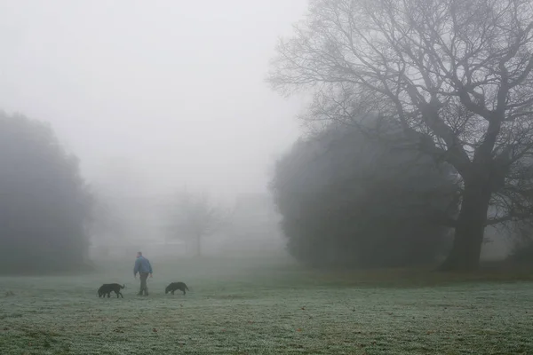 Man walking his dogs in a fog — Stock Photo, Image