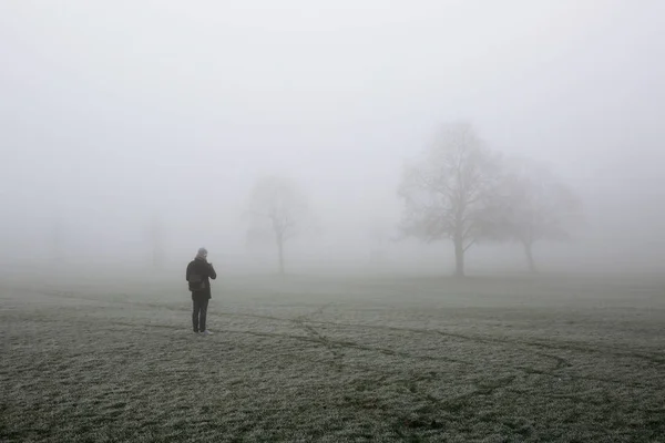 Man taking mobile photo of a park in fog — Stock Photo, Image