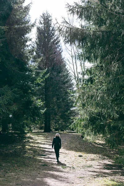 Vrouw wandelen in een bos — Stockfoto