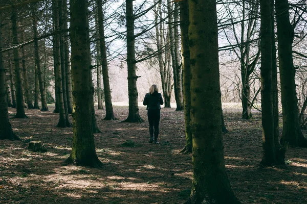 Mulher andando sozinha em uma floresta — Fotografia de Stock