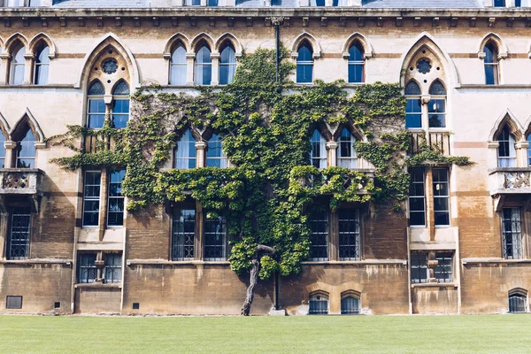 Zewnątrz budynku łąka, Christ Church College — Zdjęcie stockowe