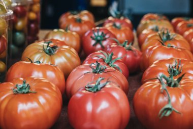 Taze organik kırmızı domates satırları