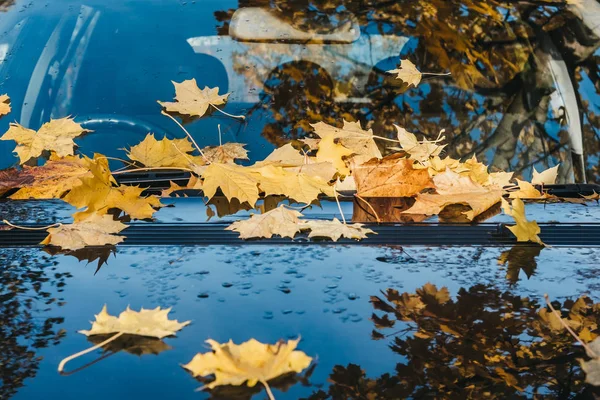 Желтые Кленовые Листья Передней Части Черной Машины Осенняя Концепция — стоковое фото