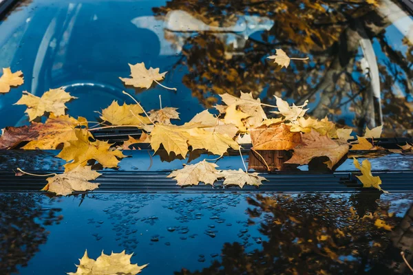 Yellow Maple Leaves Bonnet Front Window Black Car Autumn Concept — Stock Photo, Image