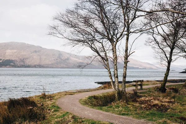 Banc Bois Vide Par Loch Eil Fort William Écosse Par — Photo