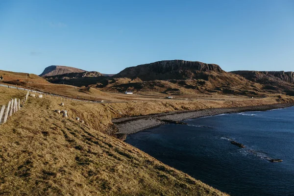 Ovejas Pastando Acantilado Junto Agua Isla Skye Escocia Cálido Día —  Fotos de Stock