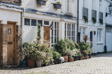Londra 'daki tipik çayır evi Uk, girişe tencere dikebilir.