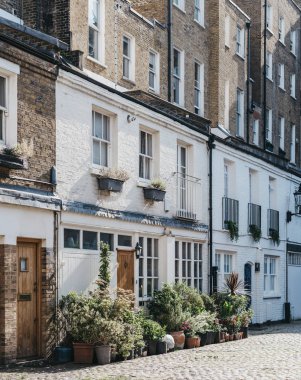 Londra 'daki tipik çayır evi, Uk. Girişte bir sürü saksı var.