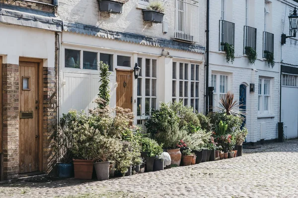 Typical mews house in London, UK, may plant pots by the entrance — Stock Photo, Image