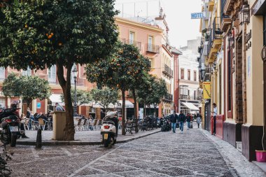 Seville, İspanya - 17 Ocak 2020: Güney İspanya 'nın Endülüs bölgesinin başkenti Sevilla' da büyüleyici bir asfalt sokak manzarası ve portakal ağaçlarıyla dolu popüler bir turizm merkezi.