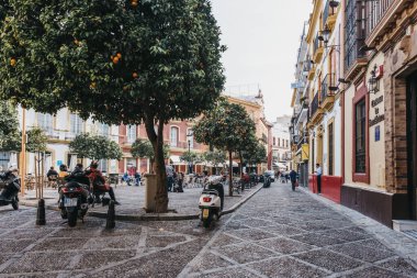 Seville, İspanya - 17 Ocak 2020: Güney İspanya 'nın Endülüs bölgesinin başkenti Sevilla' da büyüleyici bir asfalt sokak manzarası ve portakal ağaçlarıyla dolu popüler bir turizm merkezi.