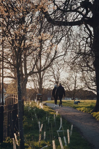 London March 2020 Couple Walking Dog Broomfield Park Public Park — Stock Photo, Image