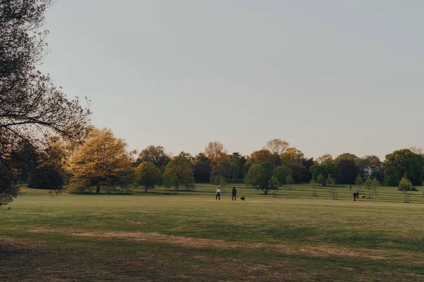 London March 2020 Distant View People Walk Broomfield Park Public — стокове фото