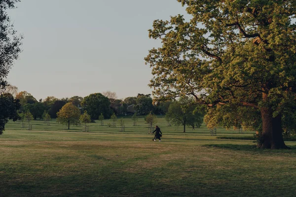 London March 2020 Distant View People Walk Broomfield Park Public — стокове фото