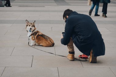 Madrid, İspanya - 26 Ocak 2020: İspanya 'nın başkenti Madrid' de bir sokakta Corgi köpeğinin fotoğrafını çeken adam, Avrupa sanatının zengin depoları ve seçici odak noktalarıyla tanınıyor..