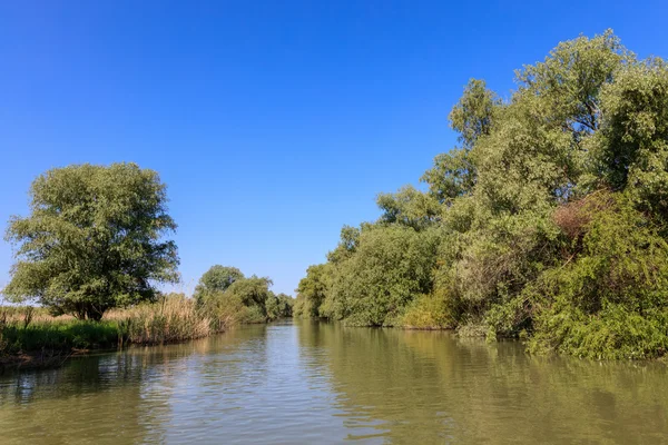 Delta Dunaju, Rumunia — Zdjęcie stockowe