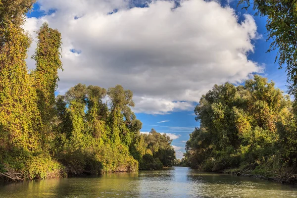 Flusskanal. Donaudelta, Rumänien — Stockfoto