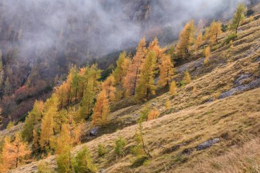 Bucegi Dağları, Romanya