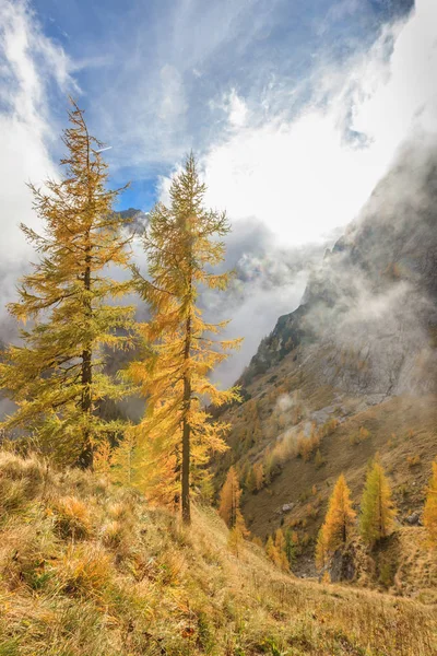 Bucegi-Berge, Rumänien — Stockfoto