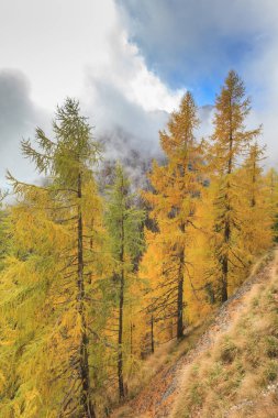 Bucegi Dağları'nda dağ Vadisi