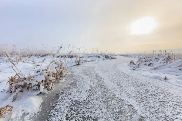 Comana-See im Winter — Stockfoto