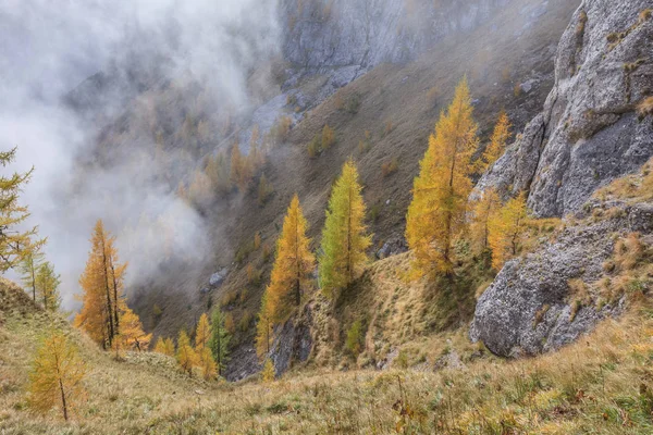 Bucegi Mountains, Roménia — Fotografia de Stock