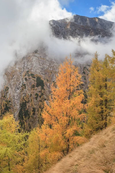 Bucegi Dağları, Romanya