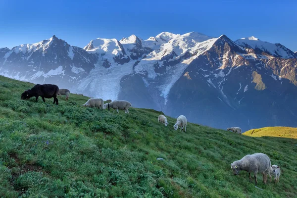 法国勃朗峰 — 图库照片