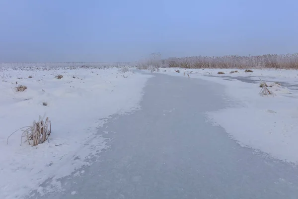 Comana lake in winter — Stock Photo, Image