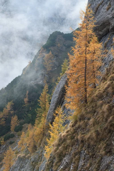 Bucegi Mountains, Roménia — Fotografia de Stock