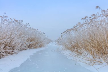 Comana göl kışın