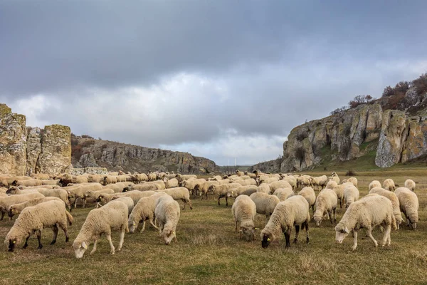 Gole di Dobrogea, Romania — Foto Stock