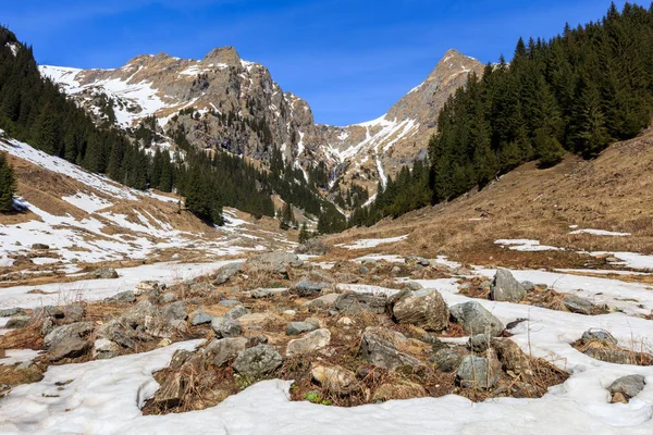 Paisaje de montaña i —  Fotos de Stock