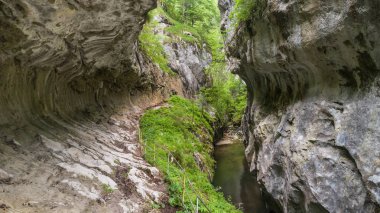 corcoaia gorge, Romanya.
