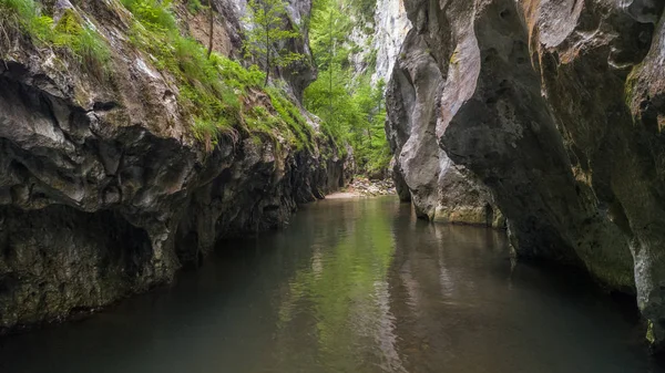 Corcoaia Gorge, Romania. — Stock Photo, Image