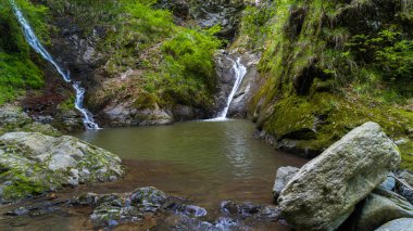 Valea lui Stan Kanyon ve nehir Romanya