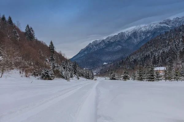 Rustieke weg in de winter — Stockfoto