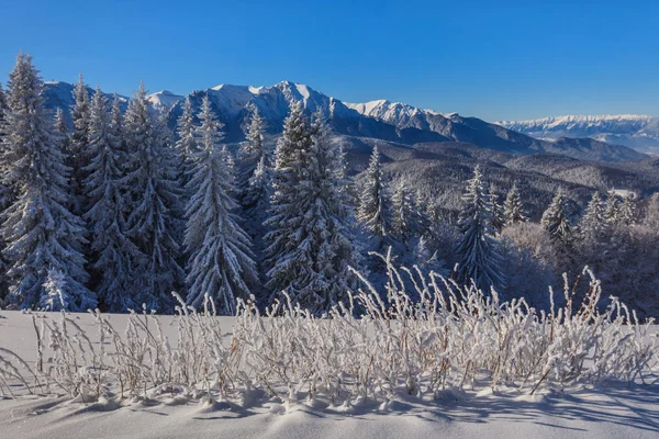 Horská krajina v zimě — Stock fotografie