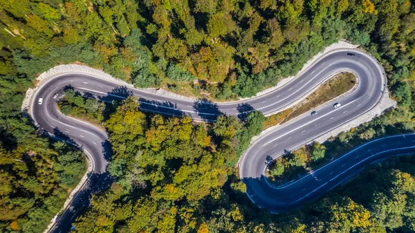 Eğri yol yalak orman 