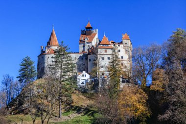Ortaçağ Bran kalesi. Brasov Transilvanya, Romanya