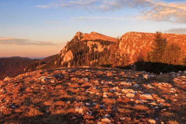 Romanya 'nın Buila Vanturarita Dağlarındaki dağ manzarası