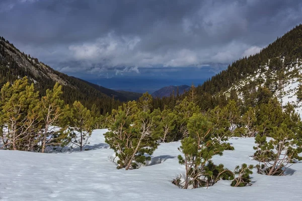 Retezat Berge, Rumänien — Stockfoto