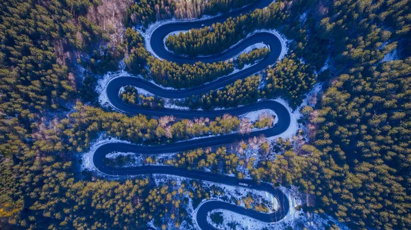 Estrada curva através da floresta — Fotografia de Stock