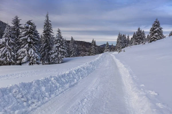 Rustieke weg in de winter — Stockfoto