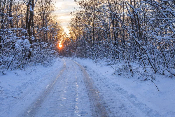 Kışın rustik yolu — Stok fotoğraf