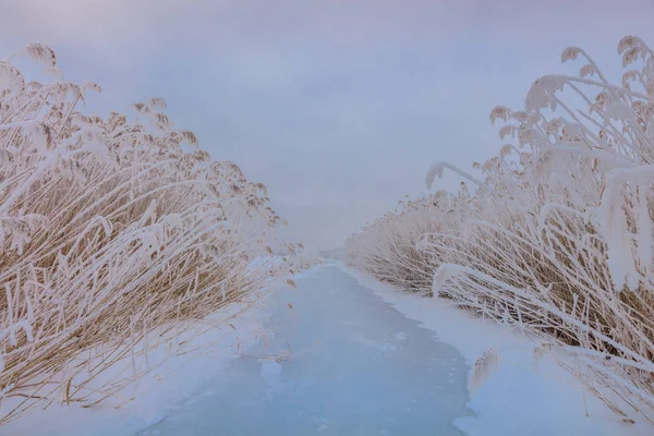 Lago en invierno — Foto de Stock