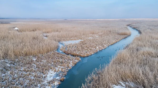 Lago Comana no inverno — Fotografia de Stock