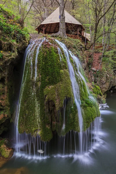 Biger kaskády se zamiluje do beusnita soutěsky národní park, Rumunsko — Stock fotografie