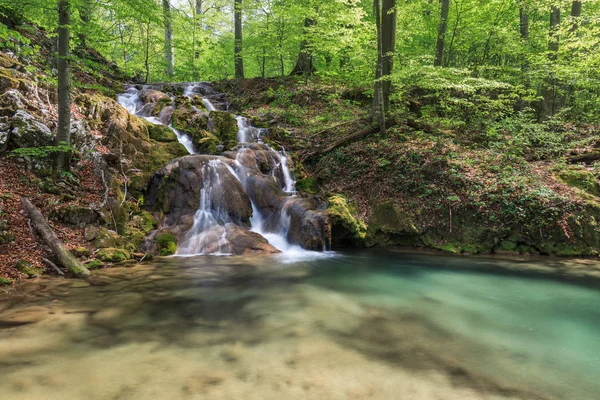 Río Beusnita, Rumania —  Fotos de Stock