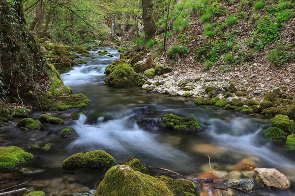 Bigar river, Rumänien — Stockfoto